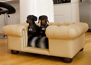 luxury faux leather dog sofa bed in champagne