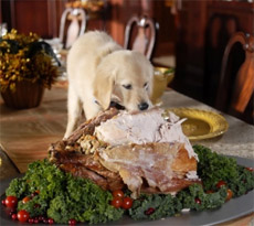 Christmas food your dog can and can't eat