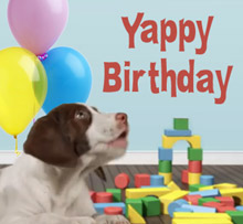 Happy Birthday Funny Dog Videos