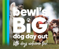 Bewl's Big Dog Day Out 2020